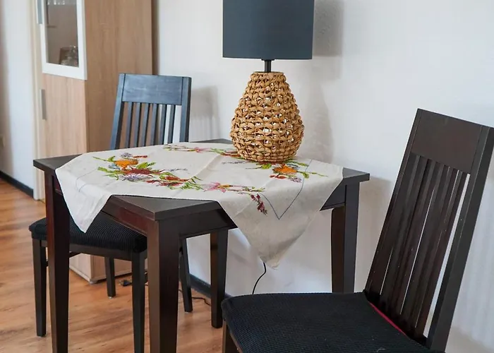 Schweriner Schelfe 公寓 *